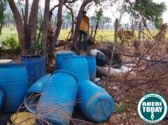 जाफ्राबाद येथे ४२ ड्रम साखरेचा सडवा नष्ट : बामणी उपपोलीस स्टेशनची कारवाई