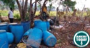 जाफ्राबाद येथे ४२ ड्रम साखरेचा सडवा नष्ट : बामणी उपपोलीस स्टेशनची कारवाई