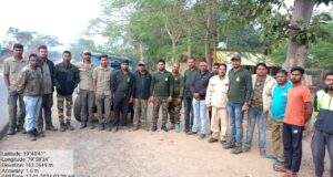 नरभक्षक वाघास जेरबंद करण्यास पथक दाखल : जि.प.माजी अध्यक्ष अजय कंकडालवार यांनी तात्काळ जेरबंद करण्याची केली होती मागणी