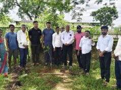 काँग्रेसनेते अजयभाऊ कंकडालवार यांच्या वाढदिवसनिमित्त राजाराम आरोग्य केंद्रा येते वृक्षरोपण