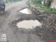 अहेरी ते वांगेपल्ली या रस्त्यावरील खड्डे बुजवले कि डांबरीकरण केले