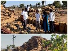 उमानूरमध्ये धान उघड्यावर; गुरांच्या तोंडी शेतकऱ्यांचा घाम…डॉ.अजयभाऊ कंकडालवारांची तातडीची पाहणी; अधिकाऱ्यांना त्वरित उचल करण्याचे निर्देश