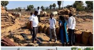 उमानूरमध्ये धान उघड्यावर; गुरांच्या तोंडी शेतकऱ्यांचा घाम…डॉ.अजयभाऊ कंकडालवारांची तातडीची पाहणी; अधिकाऱ्यांना त्वरित उचल करण्याचे निर्देश