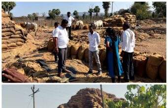 उमानूरमध्ये धान उघड्यावर; गुरांच्या तोंडी शेतकऱ्यांचा घाम…डॉ.अजयभाऊ कंकडालवारांची तातडीची पाहणी; अधिकाऱ्यांना त्वरित उचल करण्याचे निर्देश