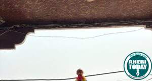 जिल्हा परिषदेचे माजी अध्यक्ष डॉ.अजय कंकडालवार यांनी घरी उभारली गुढी