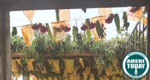 माजी जि.प.अध्यक्ष डॉ.अजयभाऊ कंकडालवार यांच्या हस्ते माता मंदिरचे उदघाटन….काटेपल्ली येथे बोनालू कार्यक्रम व सामूहिक विवाह उत्सहात संपन्न