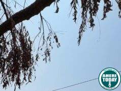 बंदूकपल्ली येथे काँग्रेस नेते डॉ.अजयभाऊ कंकडालवार स्व:खर्चाने उभारणार हनुमान मंदिर…डॉ.कंकडालवार यांच्या हस्ते हनुमान मंदिर बांधकामाची भूमिपूजन सोहळा संपन्न