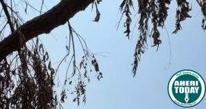 बंदूकपल्ली येथे काँग्रेस नेते डॉ.अजयभाऊ कंकडालवार स्व:खर्चाने उभारणार हनुमान मंदिर…डॉ.कंकडालवार यांच्या हस्ते हनुमान मंदिर बांधकामाची भूमिपूजन सोहळा संपन्न