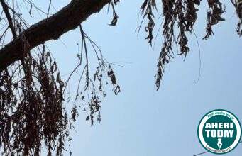 बंदूकपल्ली येथे काँग्रेस नेते डॉ.अजयभाऊ कंकडालवार स्व:खर्चाने उभारणार हनुमान मंदिर…डॉ.कंकडालवार यांच्या हस्ते हनुमान मंदिर बांधकामाची भूमिपूजन सोहळा संपन्न