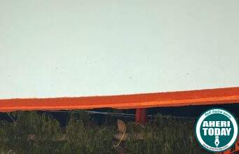 रामय्यापेठा येथे हनुमान मंदिराचे लोकार्पण ; अजय कंकडालवार यांचा स्वखर्चातून उभारलेला उपक्रम